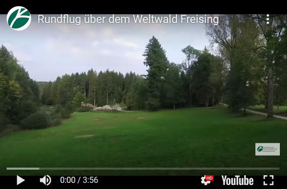 Weltwald Rundflug